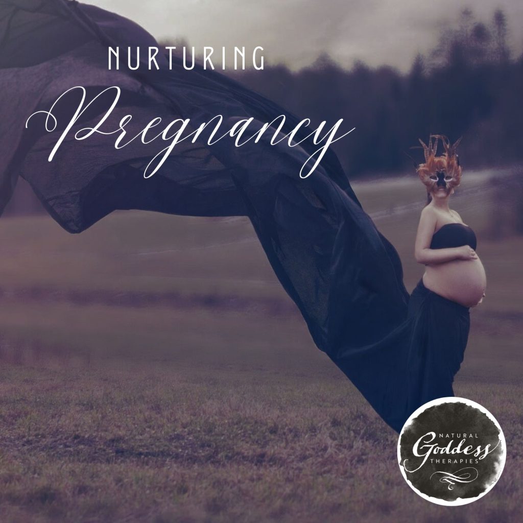 Link to Nurturing Pregnancy